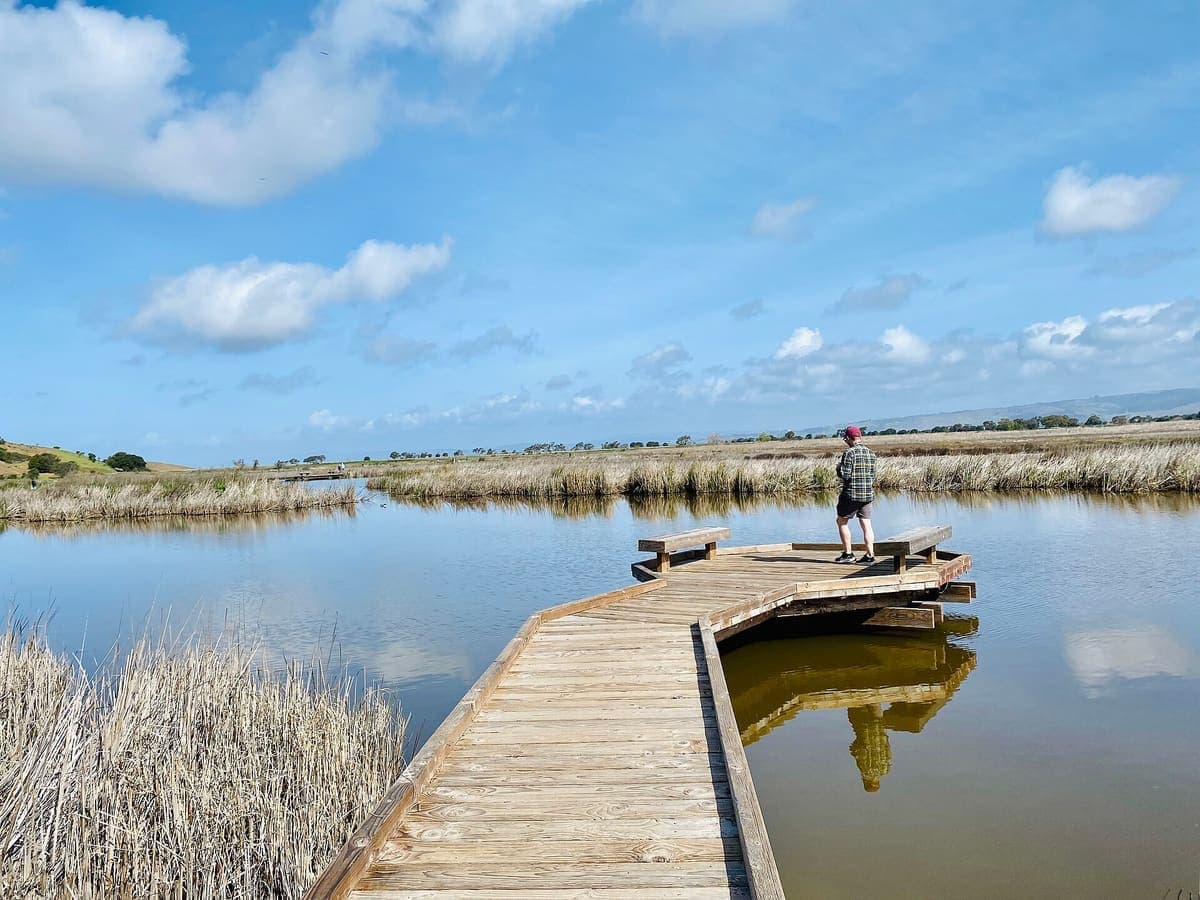 Coyote Hills Regional Park
