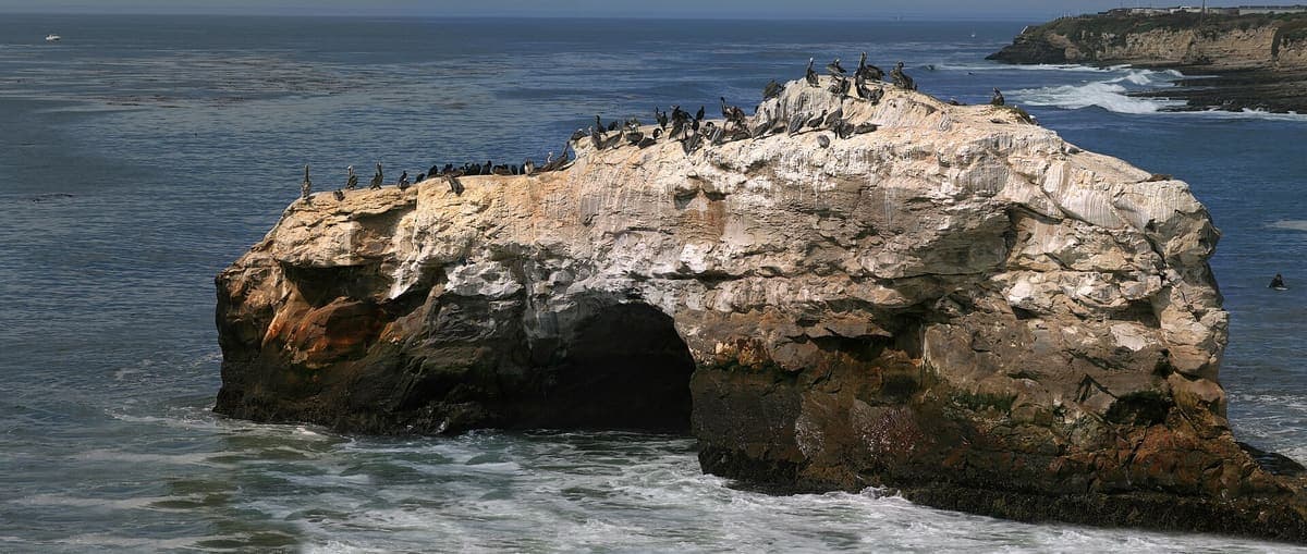 Natural Bridges State Beach