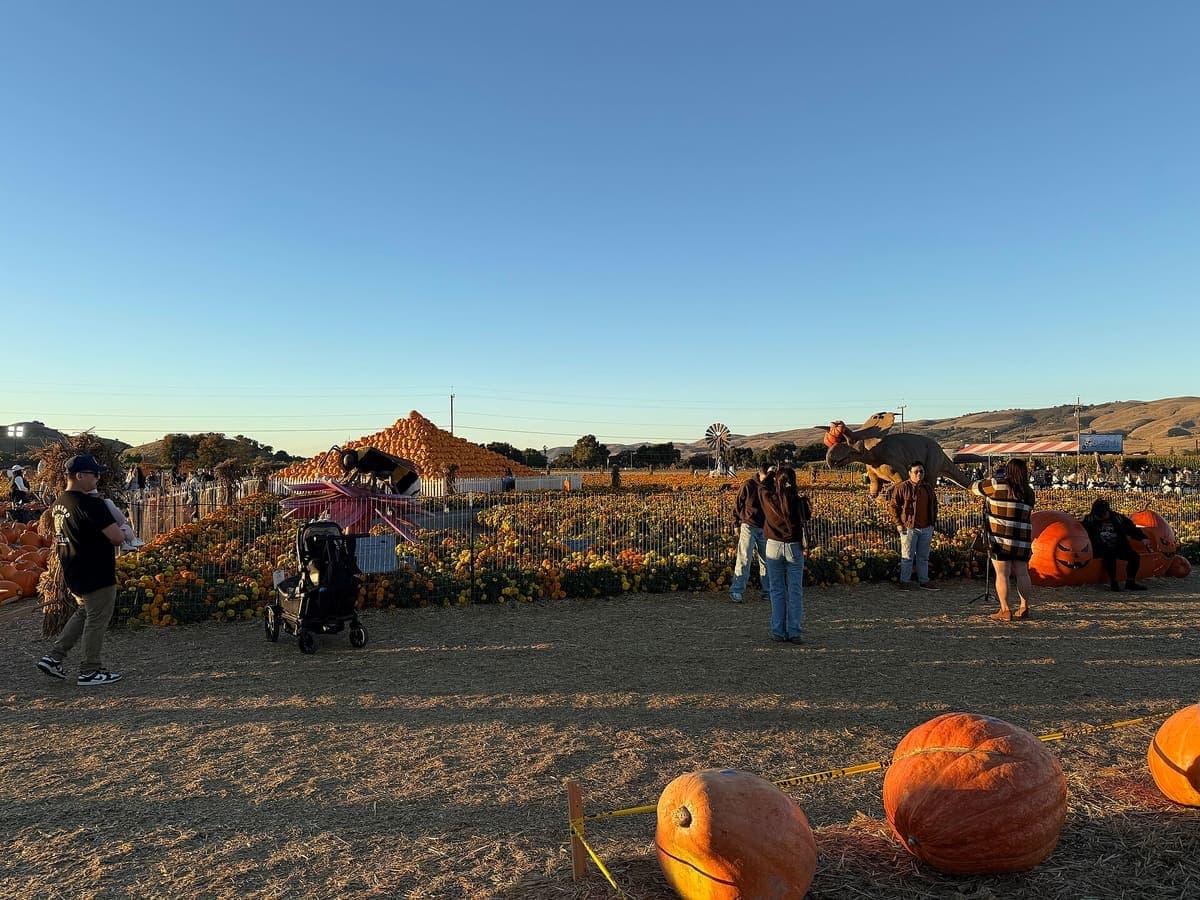 Spina Farms 南瓜地