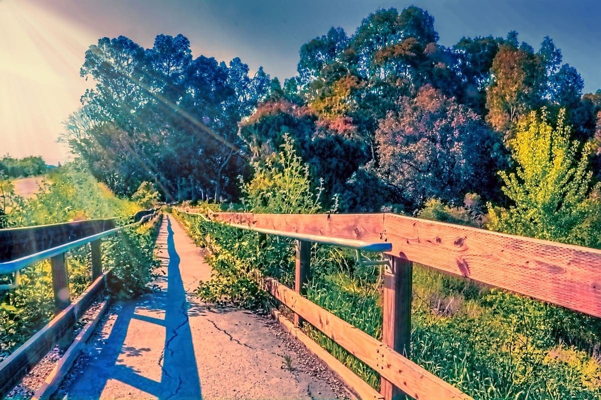 Ulistac Natural Area