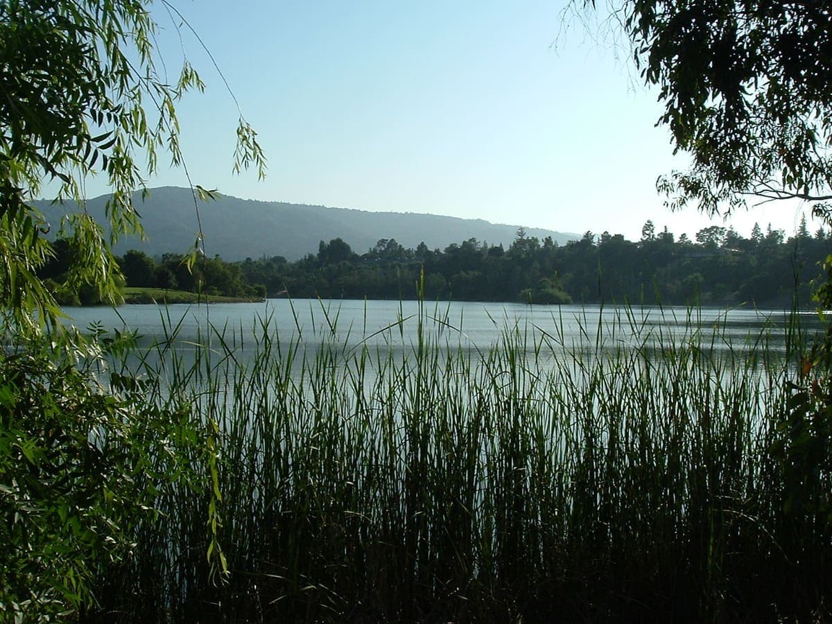 Vasona Lake + Oak Meadow Park